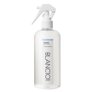 블랑 101 얼룩제거제 시그니처, 340ml, 1개