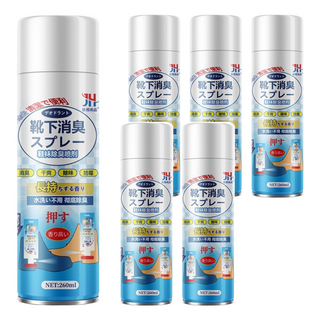 蘿林嚴選 鞋襪除臭噴霧 綠茶味, 330g, 260ml, 6瓶