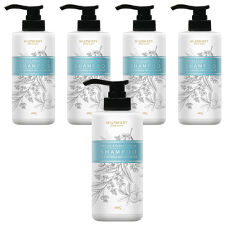SOAPBERRY 古寶無患子 Soapberry Floral Water 舒爽薄荷控油去屑純露洗髮精, 480g, 5瓶