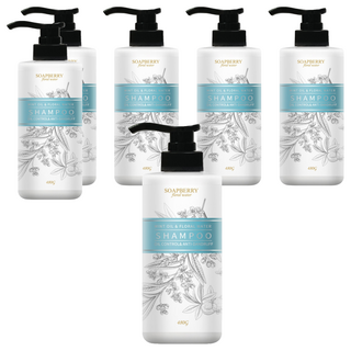 SOAPBERRY 古寶無患子 Soapberry Floral Water 舒爽薄荷控油去屑純露洗髮精, 480g, 6瓶