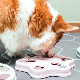 딩동펫 반려동물 지능개발 퍼즐간식 IQ 장난감, 핑크, 1개