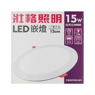 TRUNK 壯格 LED 崁燈 全塑 15W 4000K 170 x 30mm, 自然光 白色, 1個