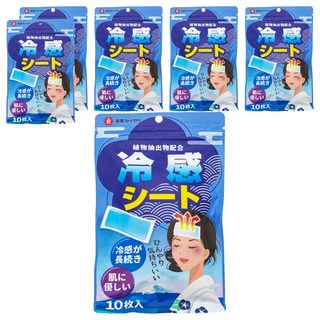 Ryoshitsu Seikatsu 良質生活 冰貼 2片, 5包, 6袋