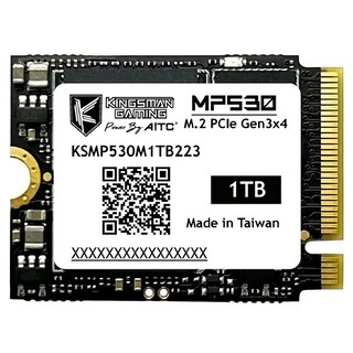 AITC 艾格 MP530 M.2 2230 PCIe Gen3 SSD, NVMe 1.4, 讀取速度高達3400MB/Sec, 1TB