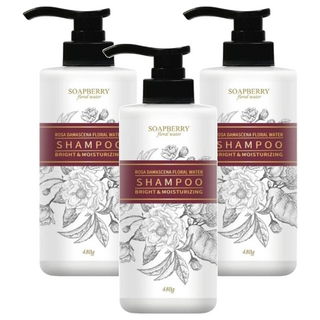 SOAPBERRY 古寶無患子 大馬士革玫瑰潤澤修護純露洗髮精 調理頭皮 深層清潔 無矽靈, 480g, 3瓶