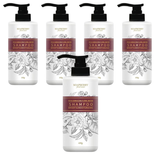 SOAPBERRY 古寶無患子 Floral Water 大馬士革玫瑰潤澤修護純露洗髮精 調理頭皮 深層清潔 無矽靈, 480g, 5瓶
