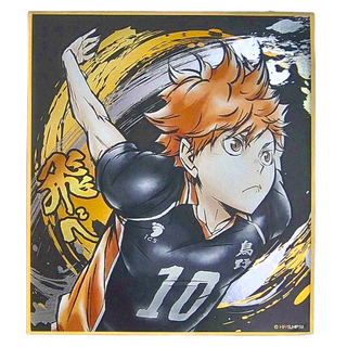 Haikyu 排球少年!! 激鬥!!閃亮色紙 日向翔陽, 1色, 1張
