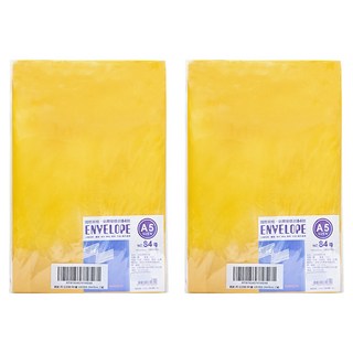 南冠 A5公文封84號, 24x19CM, 1組100入, A5, 2組