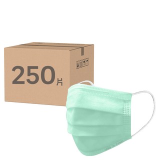 AceGreen 聚泰科技 兒童平面口罩, 50片, 薄荷綠, 5盒