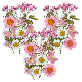 A-ONE 匯旺 真花壓花 小花包 粉色花語 Set 3個