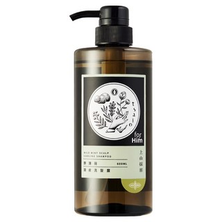 tsaio 上山採藥 野薄荷頭皮洗髮露, 控油, 強化髮根, 減少髮絲斷裂, 智利野薄荷, 生薑萃取, 活化頭皮, 600ml, 1瓶