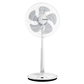 CHIMEI 奇美家電 16吋DC馬達微電腦ECO立扇 可遙控, DF-16B0S1