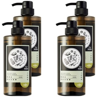 tsaio 上山採藥 野薄荷頭皮洗髮露 控油 強化髮根 減少髮絲斷裂 智利野薄荷 生薑萃取 活化頭皮, 600ml, 4瓶