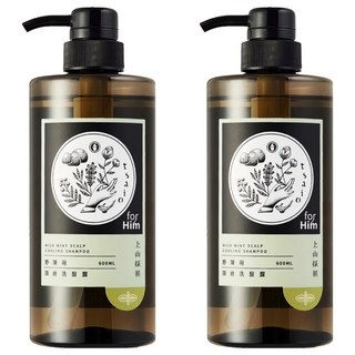 tsaio 上山採藥 野薄荷頭皮洗髮露, 控油, 強化髮根, 減少髮絲斷裂, 智利野薄荷, 生薑萃取, 活化頭皮, 600ml, 2瓶