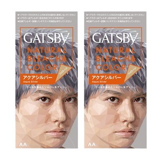 GATSBY 無敵顯色染髮霜, 水漾銀灰, 2盒