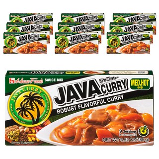 House 好侍 爪哇咖哩塊 中辣, 185g, 10盒