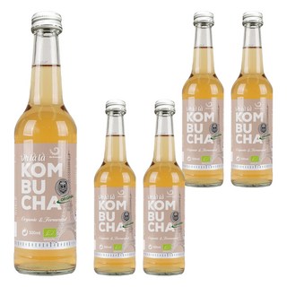 오라라 비건 오리지널 콤부차, 330ml, 1개입, 5개