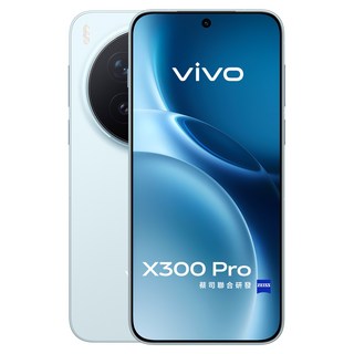 vivo 手機 16GB X300 Pro, 晴空藍, 512GB