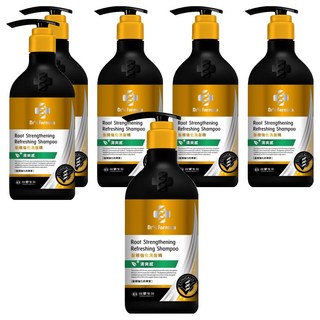 台塑生醫 Dr's Formula 髮根強化洗髮精 清爽感, 580g, 6瓶