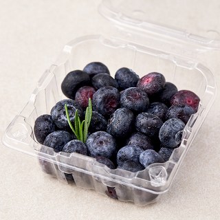 곰곰 친환경 블루베리, 100g, 1팩