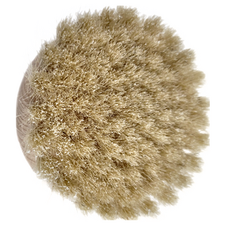 Andree Jardin 櫸木手持大沐浴刷 - 馬毛11cm, 櫸木色 + 米色, 1個裝, 1個