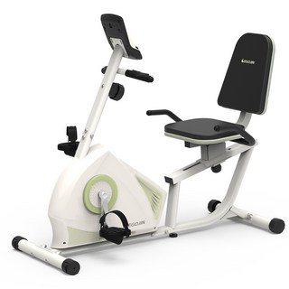 이고진 좌식 실내자전거 266R 방문설치, BC31533, 바닐라그린