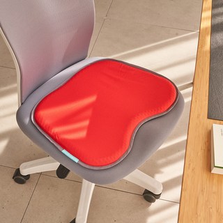 BALANCEON 倍力舒 Beta-Gel FIT 坐墊 L + 坐墊套