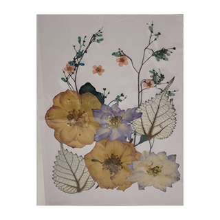 A-ONE 匯旺 真花壓花 小花包 Set 3包, 紫花異草