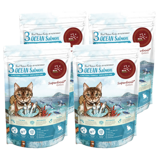 REAL POWER 瑞威 3號 乾飼料 低敏好吸收 亮毛護膚 添加有機紅藜和胺基酸, 海洋魚貝, 500g, 4包