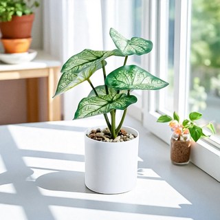 室內桌上型白天使海芋仿真綠植, 1個, 綠色