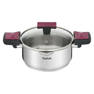 Tefal 特福 香頌不鏽鋼系列 雙耳湯鍋 附鍋蓋, 24cm, 單一顏色, 1組