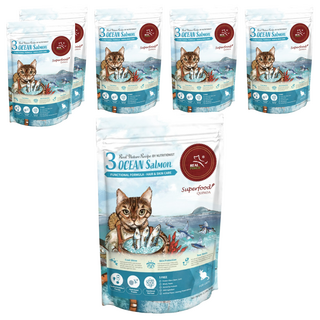 REAL POWER 瑞威 3號海洋魚宴 乾飼料, 低敏好吸收, 亮毛護膚, 添加有機紅藜和胺基酸, 海洋魚貝, 500g, 6包