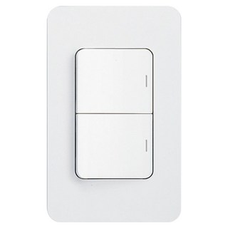 제일전기 스위치 단로 2구, 1개