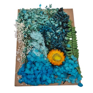 A-ONE 匯旺 乾燥花 C02 藍色魅影，2入1個