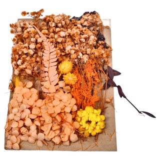 A-ONE 匯旺乾燥花 C07 光彩奪目 2入 Set