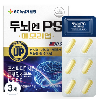 GC녹십자웰빙 두뇌엔 PS 영양제, 60정, 3개