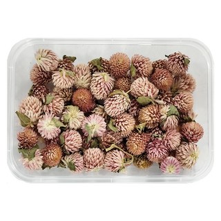 A-ONE 匯旺 乾燥花 A16 千日紅 2盒