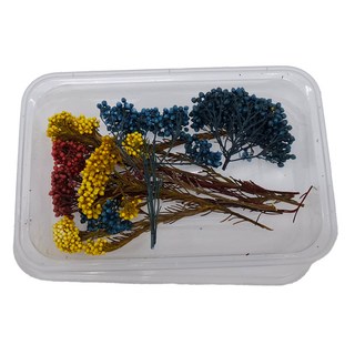 A-ONE 匯旺 乾燥花 3盒, 永生米花 A23, 三色混搭