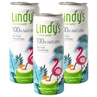 Lindy's 100%原味椰子水 天然解渴 補充水分 享受熱帶風味 健康零負擔 運動後補給, 310ml, 3罐