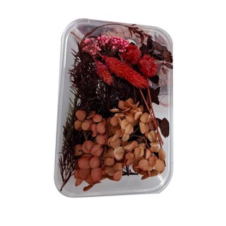 A-ONE 匯旺乾燥花 A05 聖誕光輝 1個