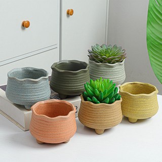 Youngnumall 多肉植物陶瓷迷你花盆 6件組, B款