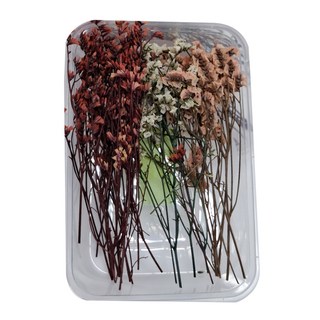 A-ONE 匯旺 乾燥花 A18 永生水晶草 3色混搭