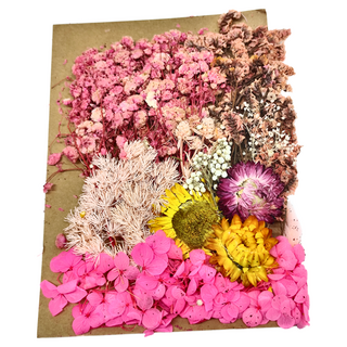 A-ONE 匯旺 乾燥花 C06 粉紅少女 2入