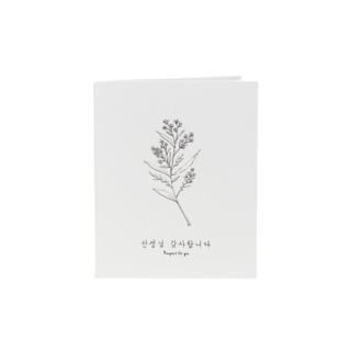 들꽃 선생님 카드 + 속지 + 카드봉투, 혼합색상 카드 + 화이트 카드봉투, 10개