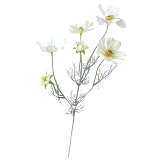 快豹 波斯格桑菊仿真花 白色, 6件