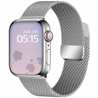 디지지 애플워치 호환 밀레니즈 루프 마그네틱 스트랩, 실버