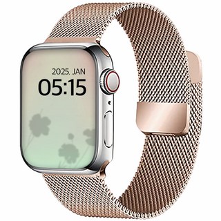 DGG Apple Watch系列兼容磁扣米蘭錶帶, 玫瑰金