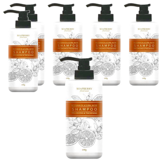 SOAPBERRY 古寶無患子 豐盈蓬鬆純露洗髮精 苦橙 穩定頭皮 維持健康狀態 深層清潔 保濕 髮絲輕盈, 480g, 6瓶