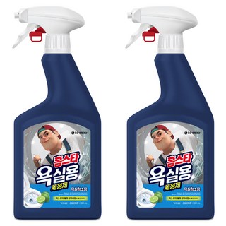 엘지 홈스타 욕실용 세정제 라임바질향, 900ml, 2개