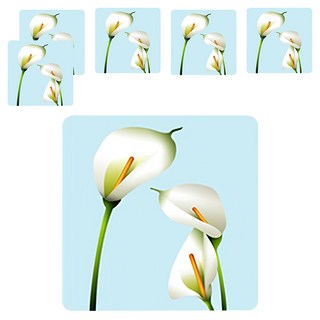 3M 防滑貼片 單裸片, 花 款式隨機, 6片